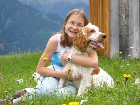 Welsh Springer Spaniel Hunde Foto 30800 in höherer Auflösung ansehen Welsh Springer Spaniel Hier unser liebes Lizahündeli!!!