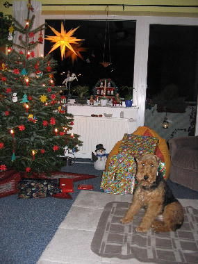 Welsh Terrier Frohe Weihnachten