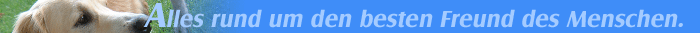 Alles rund um den besten Freund des Menschen.