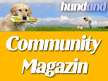 huCOM
