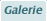 Hunde Fotogalerie