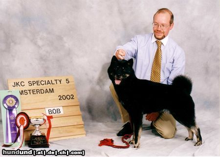 Ainu-Hund Multi-champion TAROU OTARU KAPPA�