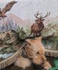 Airedale-Terrier, Inkas Jagd-Tr�ume....so gesehen und festgehalten von Schweizer Touristen