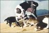 Alapaha Blue Blood Bulldog, Alapaha Blue Blood Bulldog