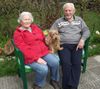 Australian Terrier, unsere Topsy