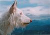 Balearen Laufhund, bergziege?