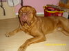 , da schaut da wieder so s�ss .....knutschkugel