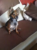 , Enni ( 4 jahre )