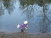 Chinesischer Schopfhund Powderpuff-Schlag, E. Jules Island Shangri-La