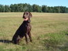 , Woody aus Delmenhorst