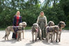 Irish Wolfhound, Mittelater Spectakel Hamburg 27.06.2010
