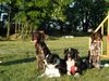 , Dolly und Gina mit ihren Freunden