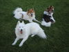 , Alischa und Familie