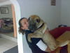 Shar Pei, mein baby JOLLY