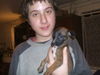Whippet, Devaj Candy