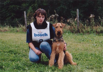 Airedale-Terrier Hunde Foto 405 Airedale-Terrier