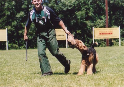 Airedale-Terrier Hunde Foto 408 Airedale-Terrier