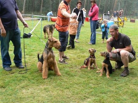 Airedale-Terrier Vater mit seine kinder