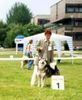 Alaskan Malamute Foto: Ariadna Legenda Polnocy PL (ID 12707) Alaskan Malamute Hund