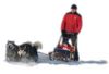 Alaskan Malamute Foto: schlittenfahrt mit malamute und klein patricia (ID 18891) Alaskan Malamute Hund