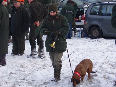 Alpenländische Dachsbracke Nach erfolgreicher Jagd