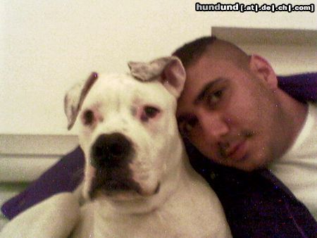American Bulldog Hunde Foto 15895 in höherer Auflösung ansehen American Bulldog OKI&Efe