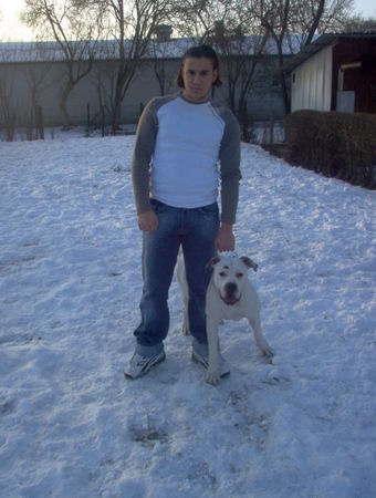 American Bulldog Hunde Foto 28355 in höherer Auflösung ansehen American Bulldog SERKAN & MISS SOPHIE