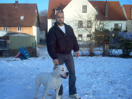 American Bulldog Hunde Foto 28245 in höherer Auflösung ansehen American Bulldog KADIR&MISS SOPHIE