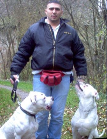 American Bulldog Hunde Foto 26986 in höherer Auflösung ansehen American Bulldog OKTAY&SITTING BULL&MISS SOPHIE
