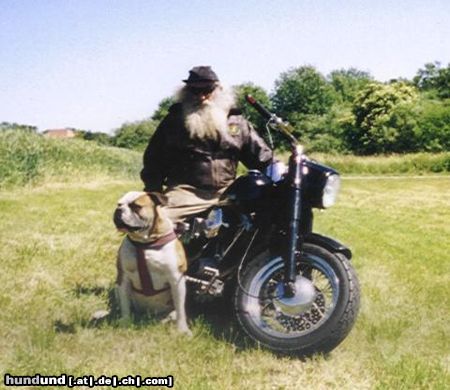 American Bulldog Hunde Foto 13896 American Bulldog Opa und Buster