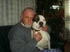 American Bulldog Foto: Marcus mit Assra (ID 30073) American Bulldog Hund
