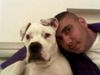 American Bulldog Foto: OKI&Efe (ID 15895) American Bulldog Hund