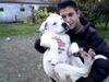 American Bulldog Foto: SEKO&EFE (ID 15802) American Bulldog Hund