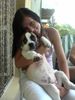 American Bulldog Foto: ich u meine süße (14Wochen) (ID 23097) American Bulldog Hund