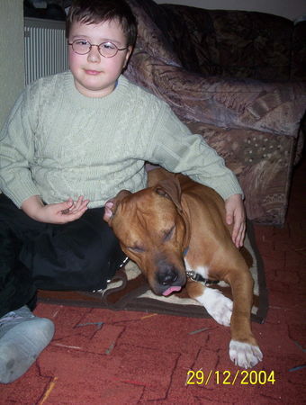 Amerikanischer Pit-Bullterrier Hunde Foto 29459 Amerikanischer Pit-Bullterrier Dennis mit Bandit