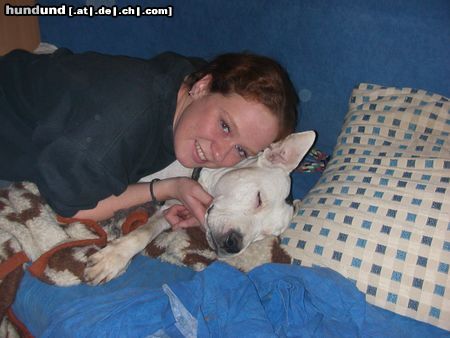 Amerikanischer Pit-Bullterrier Hunde Foto 16526 Amerikanischer Pit-Bullterrier Kimba beim Schmusen mit Frauchen