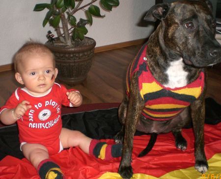 Amerikanischer Pit-Bullterrier Begeisterte EM-Fans