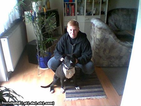 Amerikanischer Pit-Bullterrier Hunde Foto 16534 Amerikanischer Pit-Bullterrier Ich & Odin