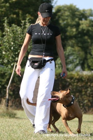 Amerikanischer Pit-Bullterrier Hunde Foto 36702 Amerikanischer Pit-Bullterrier Dogdance Ida