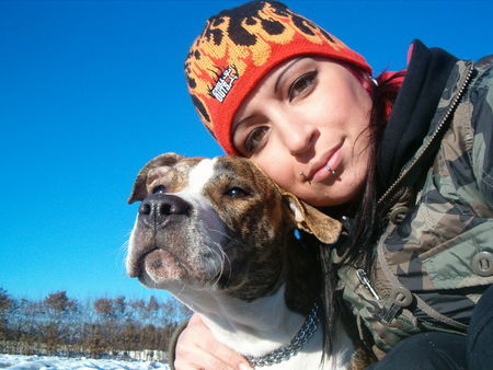 Amerikanischer Pit-Bullterrier Hunde Foto 27655 Amerikanischer Pit-Bullterrier Ronja und ich