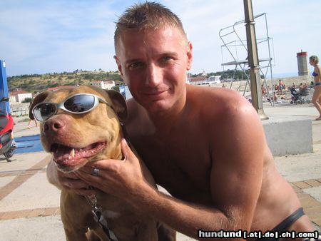Amerikanischer Pit-Bullterrier Hunde Foto 14282 Amerikanischer Pit-Bullterrier Rednose Max Urlaub in Kroatien