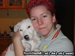 Amerikanischer Pit-Bullterrier Hunde Foto 16776 in höherer Auflösung ansehen Amerikanischer Pit-Bullterrier Ich und mein Magic