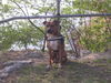 Amerikanischer Pit-Bullterrier Foto: Gino-Bambino (ID 31841) Amerikanischer Pit-Bullterrier Hund