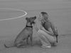 Amerikanischer Pit-Bullterrier Foto: Ida und ihr Frauli (ID 12955) Amerikanischer Pit-Bullterrier Hund