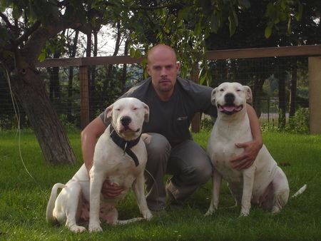 Dogo Argentino Dogo Argentino Pups 