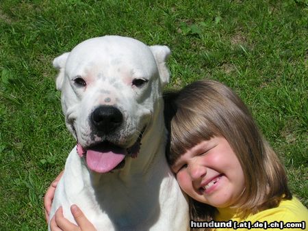 Dogo Argentino Hunde Foto 13852 Dogo Argentino Tanja un Duna