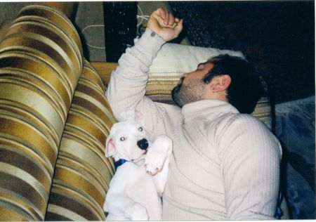 Dogo Argentino Hunde Foto 38586 Dogo Argentino caruso und papa