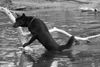 Australian Kelpie Foto: Charming Mikka of Mersey Downs (ID 20591) Australian Kelpie Hund