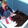 Australian Kelpie Foto: Lotte mit Dutch Dynamite K1 Welpen und mutter am 26e Tag (ID 1040) Australian Kelpie Hund