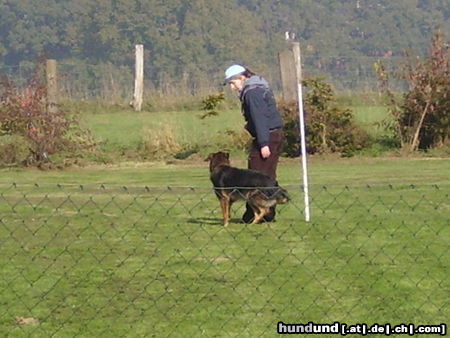 Australian Shepherd Hunde Foto 26545 Australian Shepherd Mirjam und Aischa bei der Begleithundeprüfung